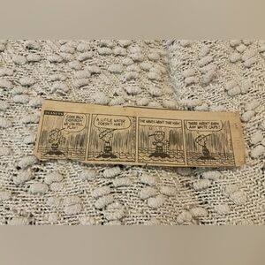 The Peanuts Charlie Brown comic strip (probably vintage)